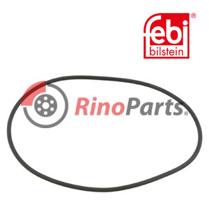 4 315 0052 00 O-Ring for brake camshaft