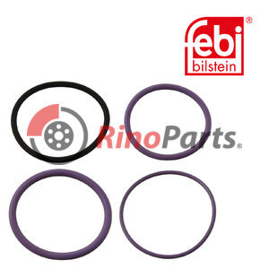 276948 Seal Ring Kit for fuel injector