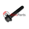 4899053 SKRUTKA IVECO