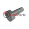 17456634 SKRUTKA M10X30MM IVECO