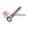 16676834 SKRUTKA M10X70 IVECO