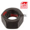 Hex Nut