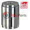 1357 764 Bush for spring eye