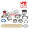 1895 529 King Pin Set with friction bearing, single set