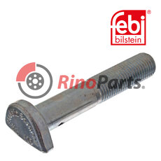 Cup Head Bolt
