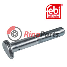 Cup Head Bolt