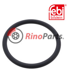 2000 733 Sealing Ring for cooling water tube, at water pump