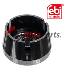 21363702 Bush for spring eye